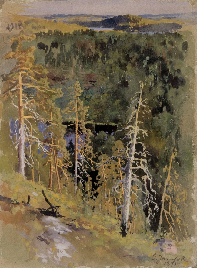 Forest Landscape Eero J Rnefelt Artwork On Useum