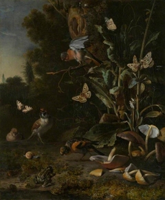 Birds, Butterflies and a Frog among Plants and Fungi by Melchior d'Hondecoeter
