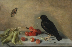 Blackbird, Butterfly and Cherries