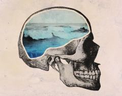 Brain Waves by Chase Kunz