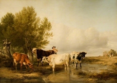 Cattle in a Stream by Thomas Sidney Cooper