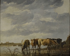 Cattle Watering by an Estuary