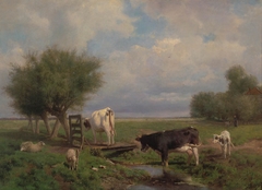 Cows and Sheep