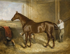 'Emperor' in his Stall by Harry Hall