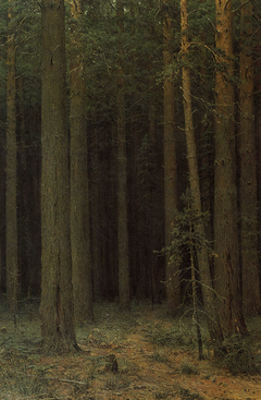 Forest Reserve. Pine Grove by Ivan Shishkin