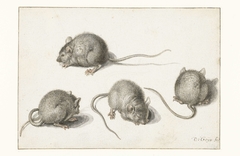 Four studies of a diseased mouse by Jacob de Gheyn II