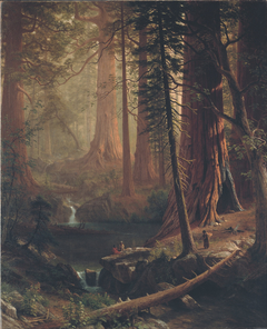 Giant Redwood Trees of California by Albert Bierstadt