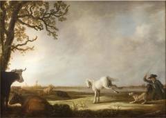 Kicking Horse by Aelbert Cuyp