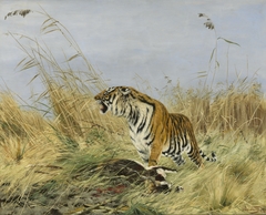 Koningstijger met gedode nijlgau-antilope by Richard Friese