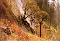 Landscape Study, Yosemite, California