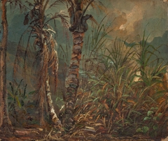 Palm Trees and Grasses by Fritz Melbye