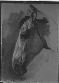 Pferdekopf nach links by Wilhelm von Diez