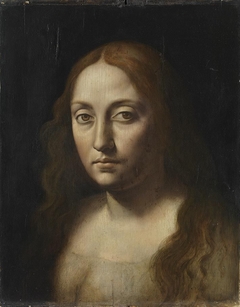 Portrait of a Woman by a follower of Leonardo da Vinci