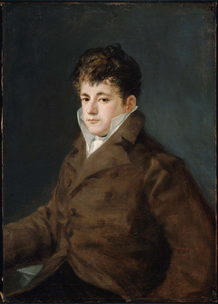 Portrait of a Young Man in Brown, possibly Javier Goya by Francisco de Goya