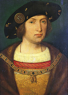 Portrait of Floris van Egmond (1469-1539)