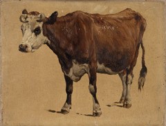 Studie van een roodbonte koe by Johannes Hubertus Leonardus de Haas