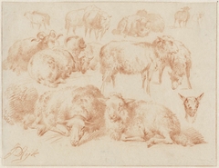 Studies van schapen by James de Rijk