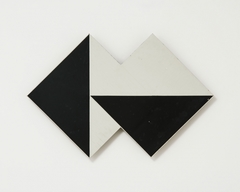 Superficie Modulada by Lygia Clark