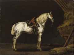 White Horse in a Stable by Abraham van Calraet