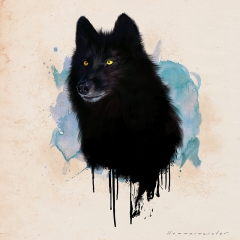 Wolf by Mark Hammermeister