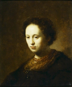 An Unknown Woman by Anonymous