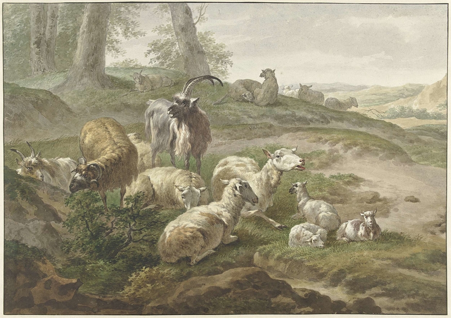 Bokken en schapen in een heuvelachtig landschap