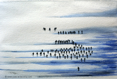 CENT MANCHOTS - 100 penguins - by Pascal by Pascal Lecocq