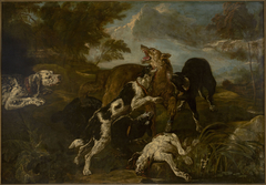 Dogs fighting a wolf