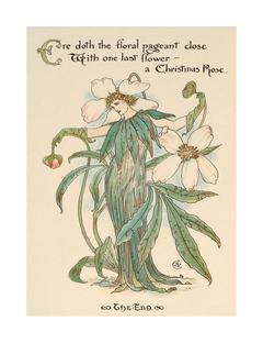 Flora’s Feast: Christmas Rose by Walter Crane