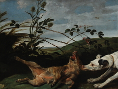 Greyhound Catching a Young Wild Boar by Frans Snyders