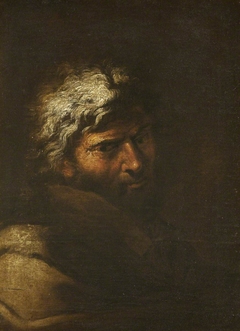 Head of a Philosopher, called 'Democritus' by Salvator Rosa