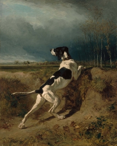 Hound Pointing by Constant Troyon
