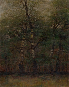 Inside of Birch Forest by László Mednyánszky