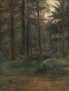Interior of Coniferious Woods with Rocks by Lajos Csordák