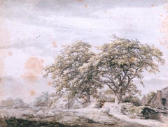 Oaks And A Cottage by Jacob Salomonsz Ruysdael - Jacob Salomonsz Ruysdael - ABDAG003901 by Jacob Salomonsz van Ruysdael