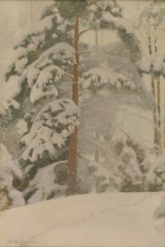 Pine Tree in Snow by Pekka Halonen
