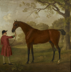 Portrait of a Horse by Sawrey Gilpin