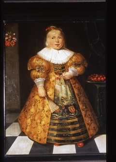 Portrait of Ymck van Pfaffenrode (1629-1677) by Harmen Willems Wieringa