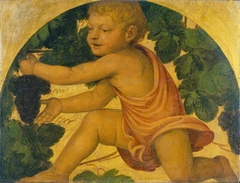 Putto Picking Grapes by Bernardino Luini