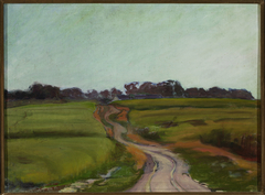Road among fields