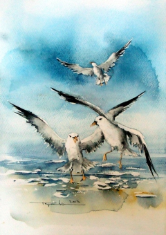 Seagulls by Mugur Popa