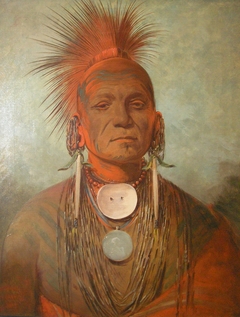 See-non-ty-a, an Iowa Medicine Man by George Catlin
