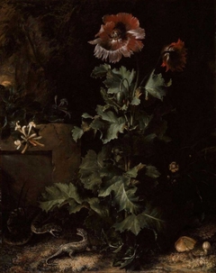 Still Life with Snake and Lizard