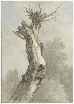 Studie van een boom by A.E.G. Roelofs