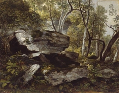 Study from Nature: Rocks and Trees by Asher Brown Durand