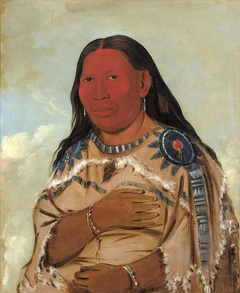 Wife of Two Crows by George Catlin