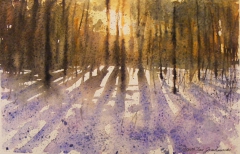 Winter shadows-2 by Ivan Grozdanovski
