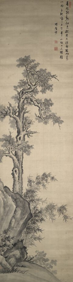 Wutong Tree, Bamboo, and Rock