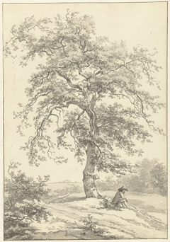 Zittende man onder grote boom, in de omgeving van Eext in Drenthe
