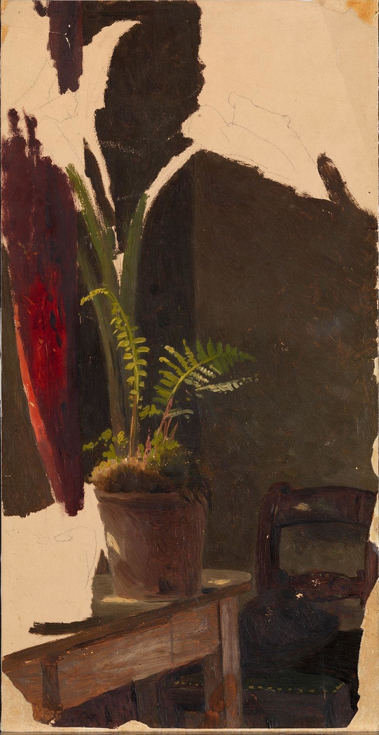 A Flowerpot with Ferns